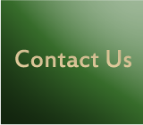 Contact page